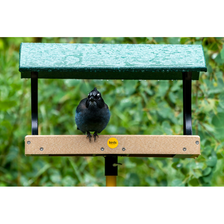 Birds Choice Pole Tray Bird Feeder & Reviews - Wayfair Canada